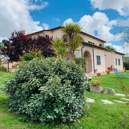8380 L'oleandro *