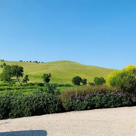 8380 L'oleandro * Montemerano