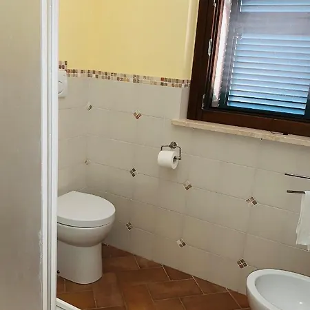 8380 L'oleandro *