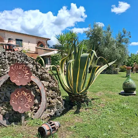 L'oleandro